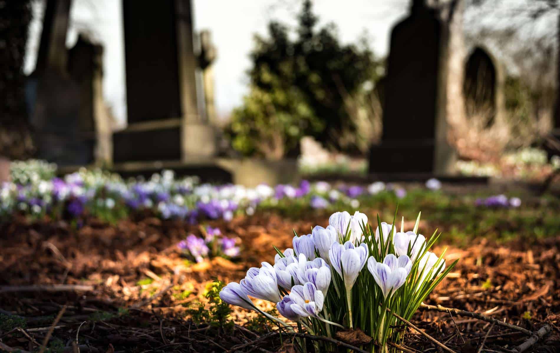 cimetiere reduction de corps touchard pompes funebres le mans